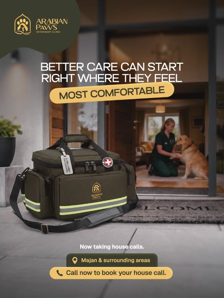 Better care starts at home