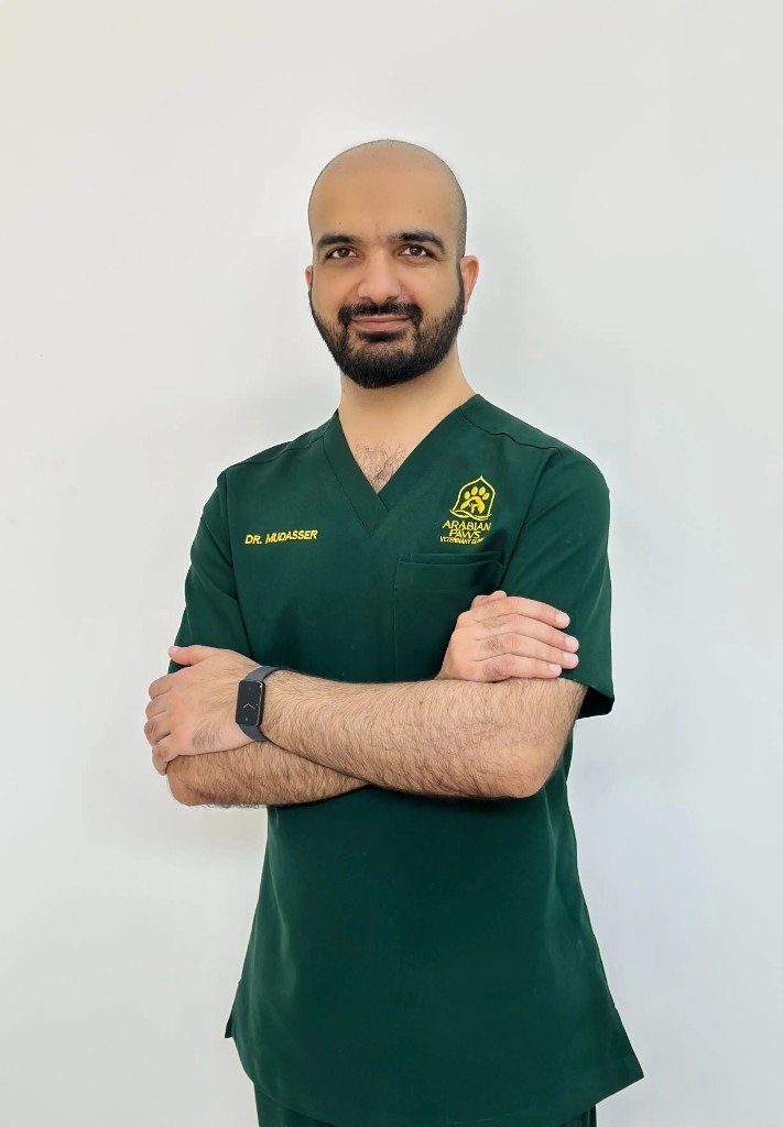 Dr Hafiz Mudasser